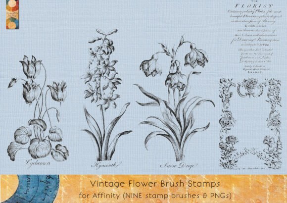 Vintage Flower Affinity Brush Stamps